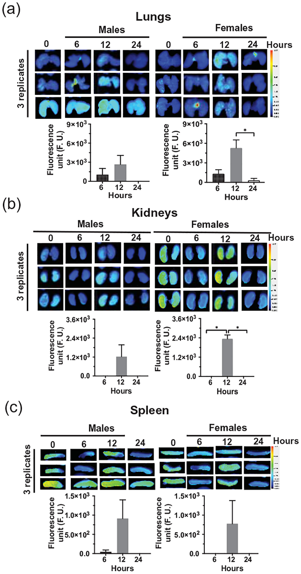 Figure 5: