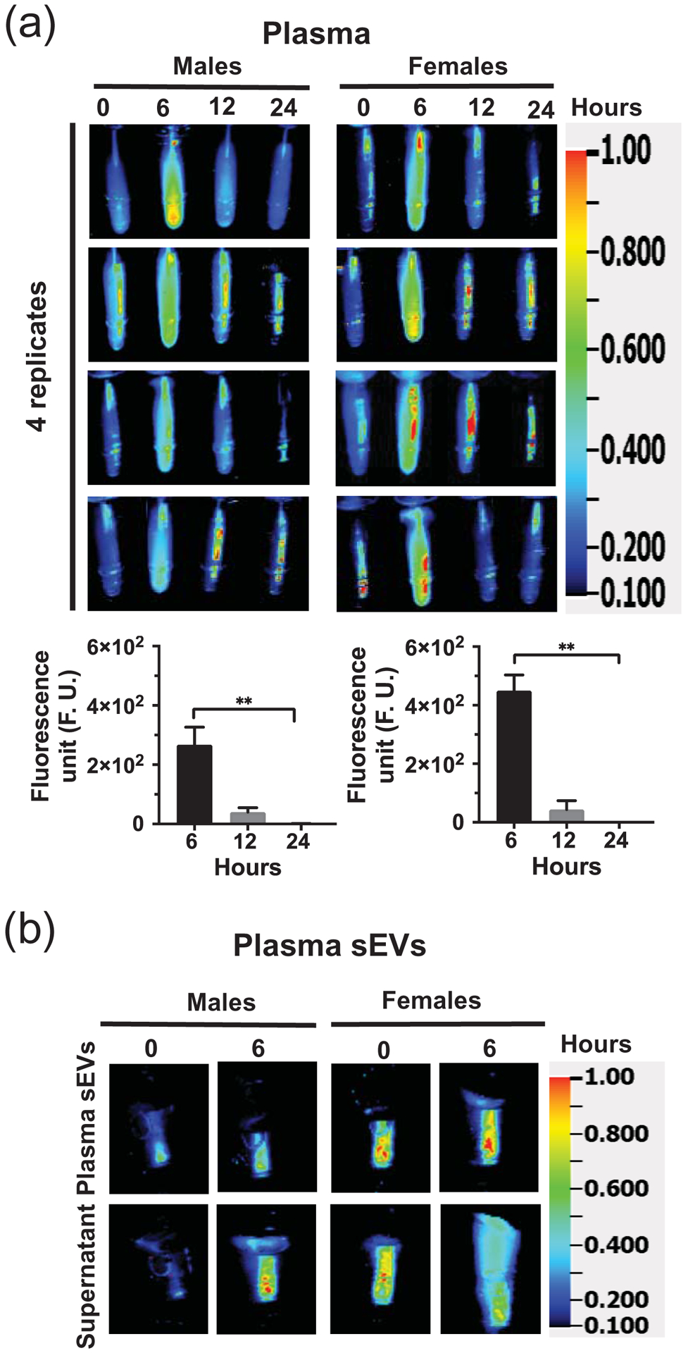 Figure 4: