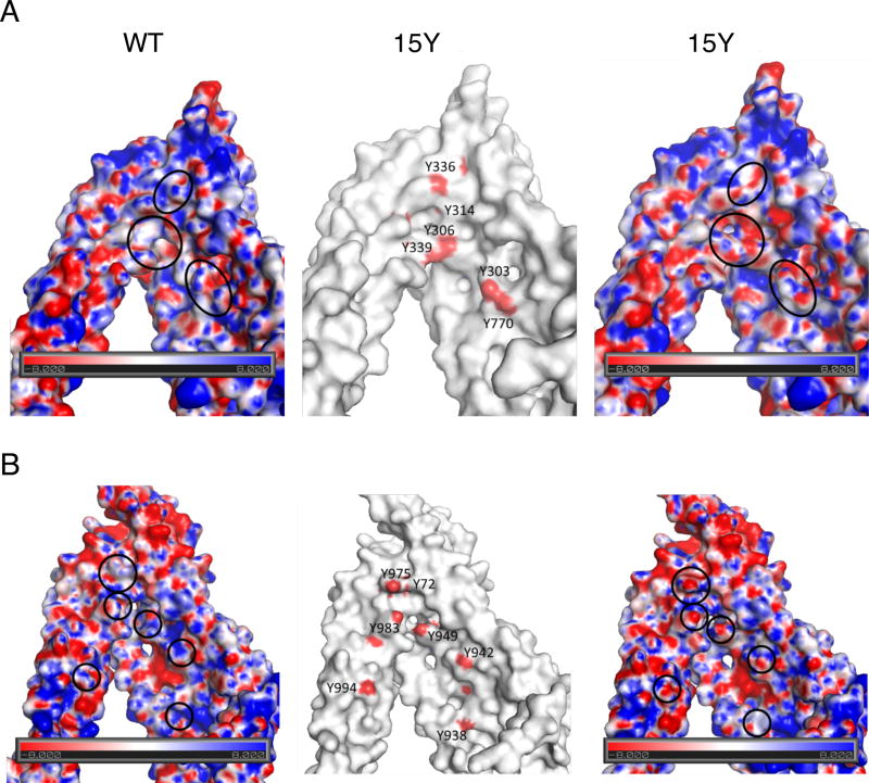 Fig. 9