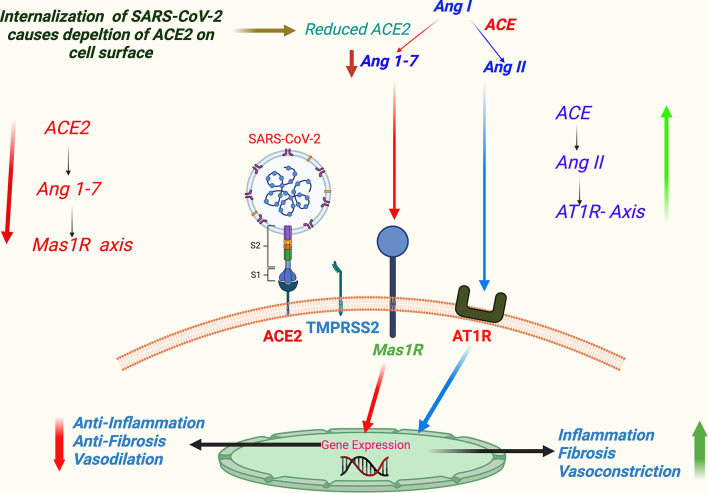 Figure 4