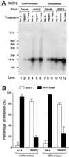 FIG. 6