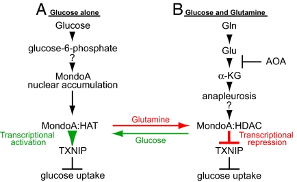 Fig. 6.