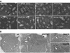 FIG. 5.