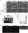 FIG. 9.