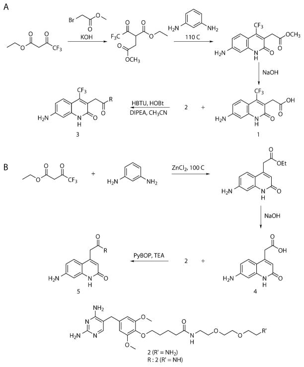 Scheme 1