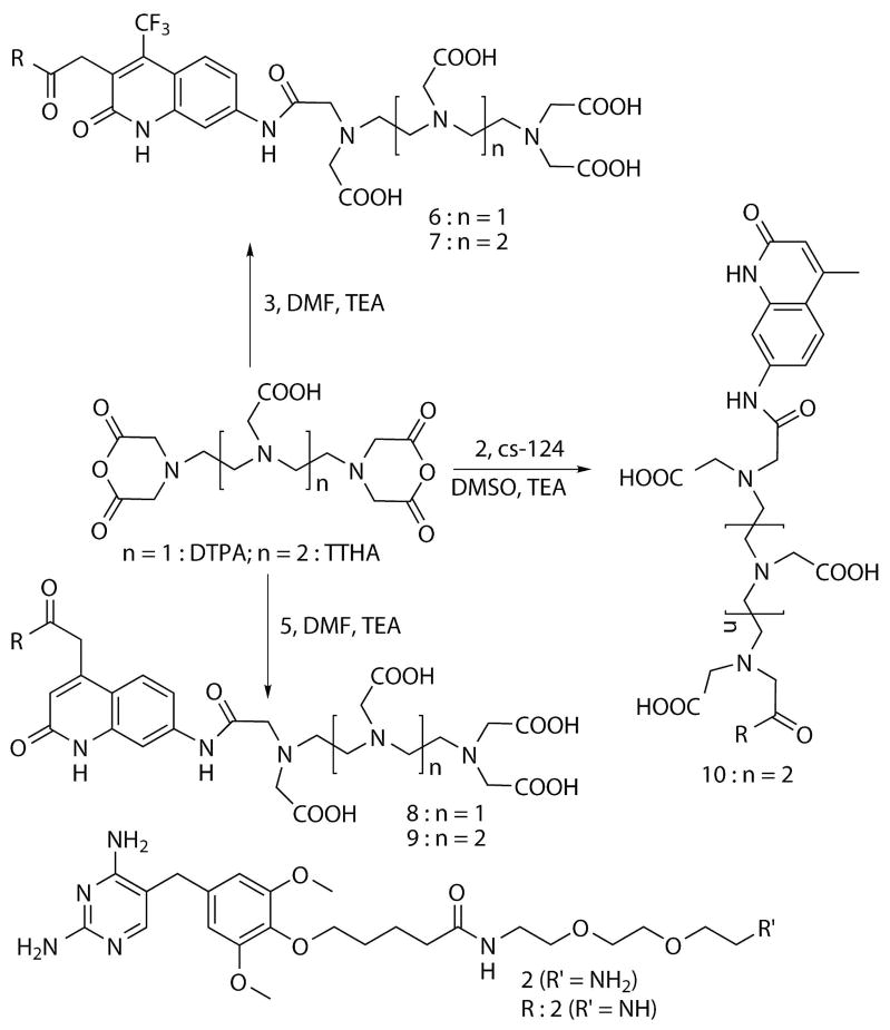 Scheme 2