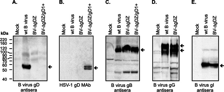 FIG 2