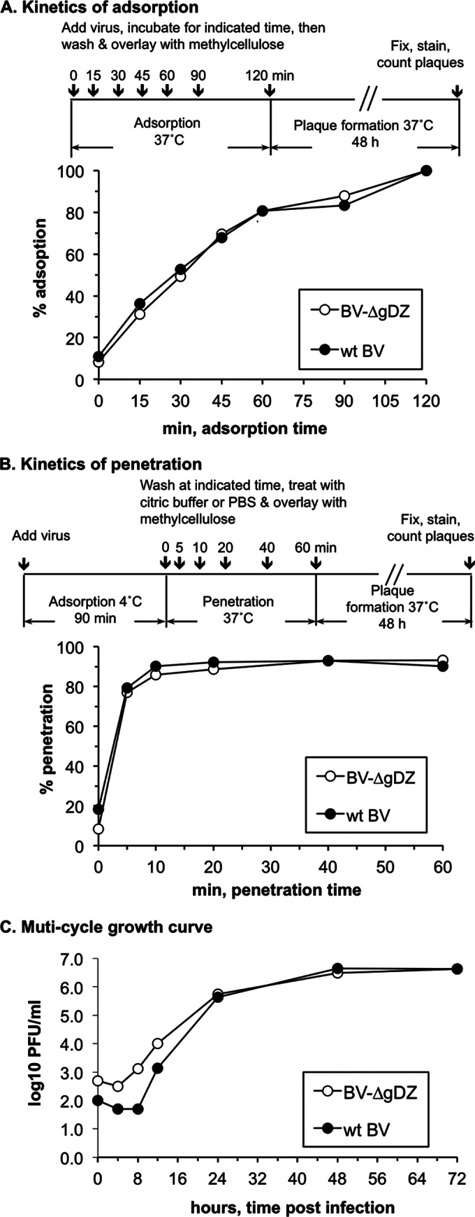 FIG 5