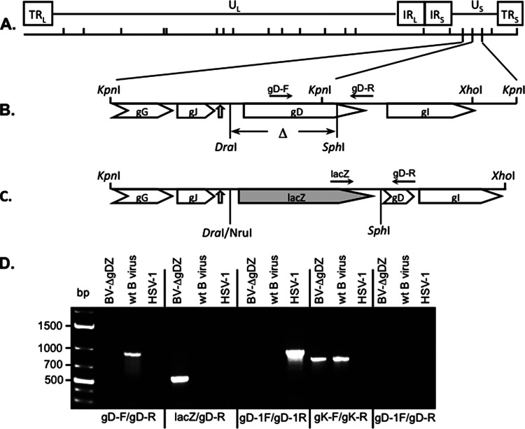 FIG 1