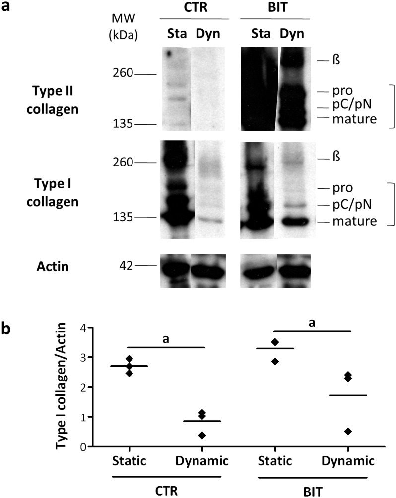 Fig 7