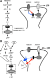 Figure 10.