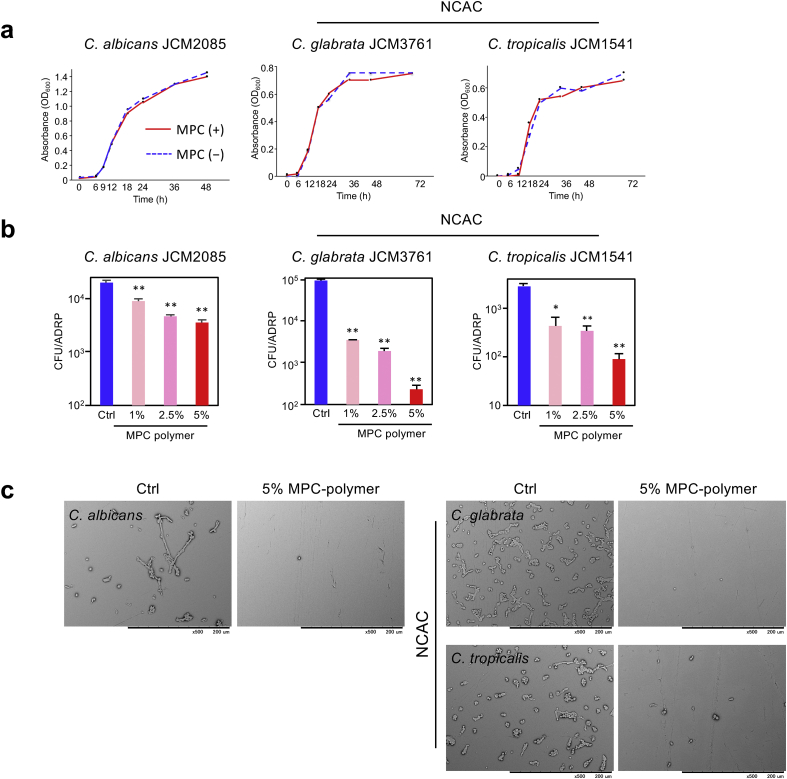 Figure 2