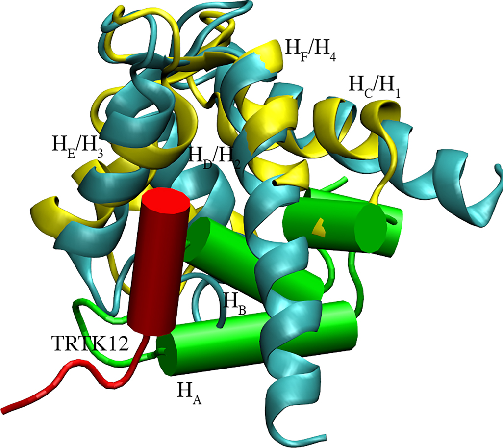 Figure 10: