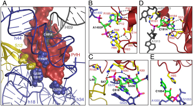 Fig. 3.