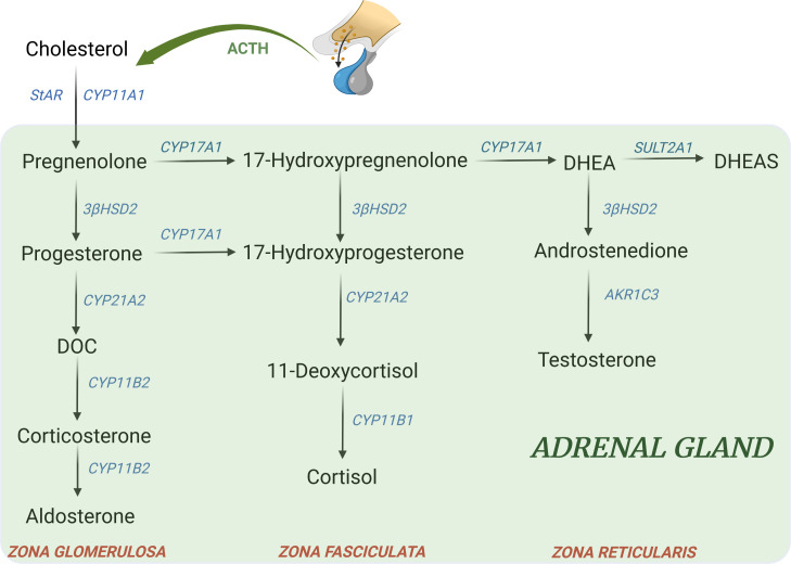 Figure 2