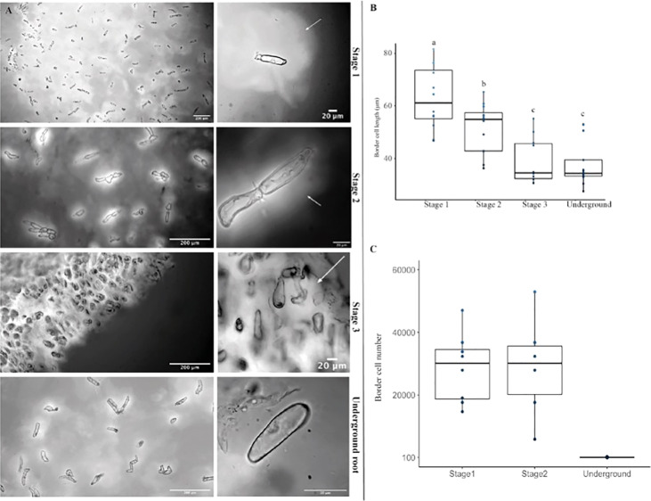 Figure 6