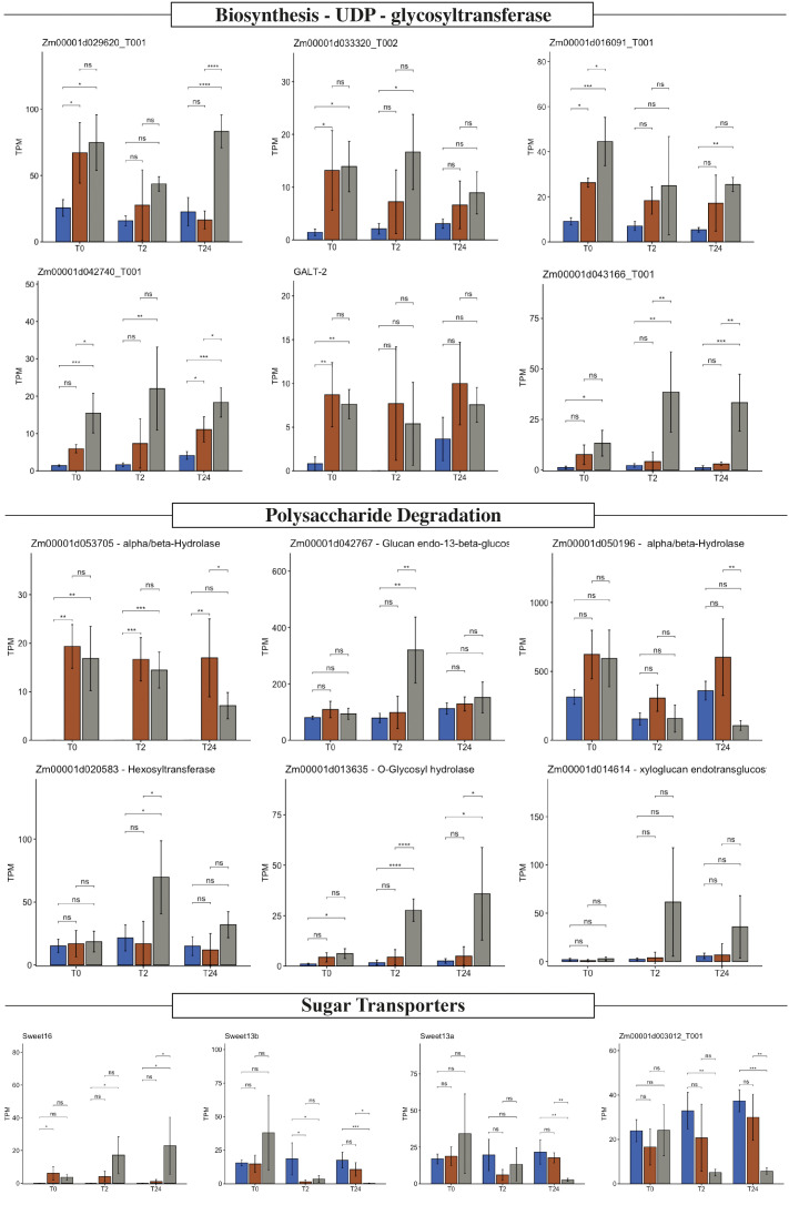 Figure 4