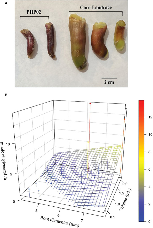 Figure 1