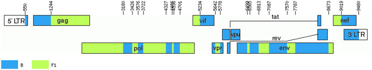 Figure 6