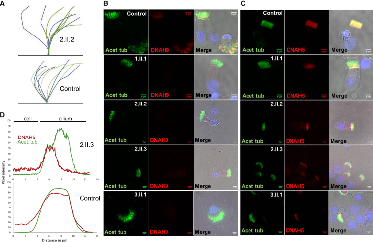 Figure 2