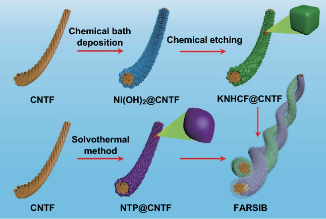 Fig. 1