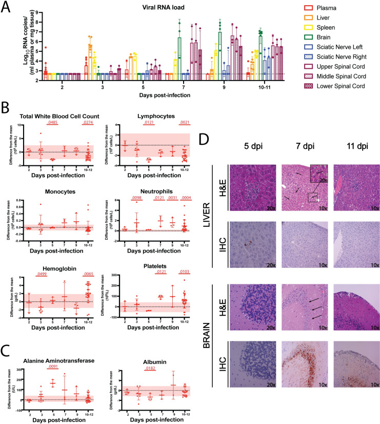 Fig 6