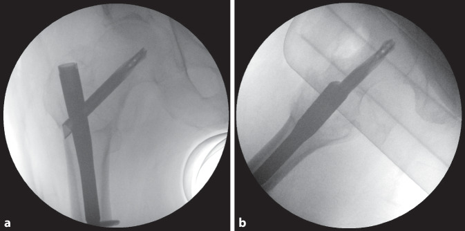 graphic file with name 113_2022_1178_Fig2_HTML.jpg