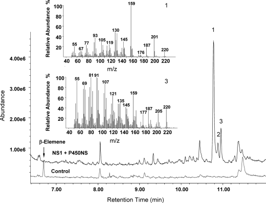 FIG. 6.