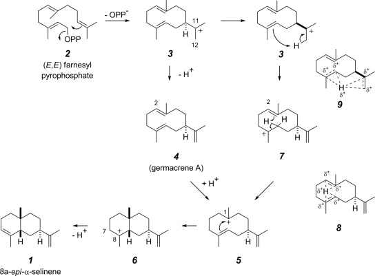 FIG. 8.