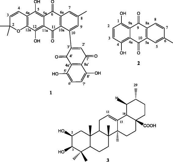 Fig. 1