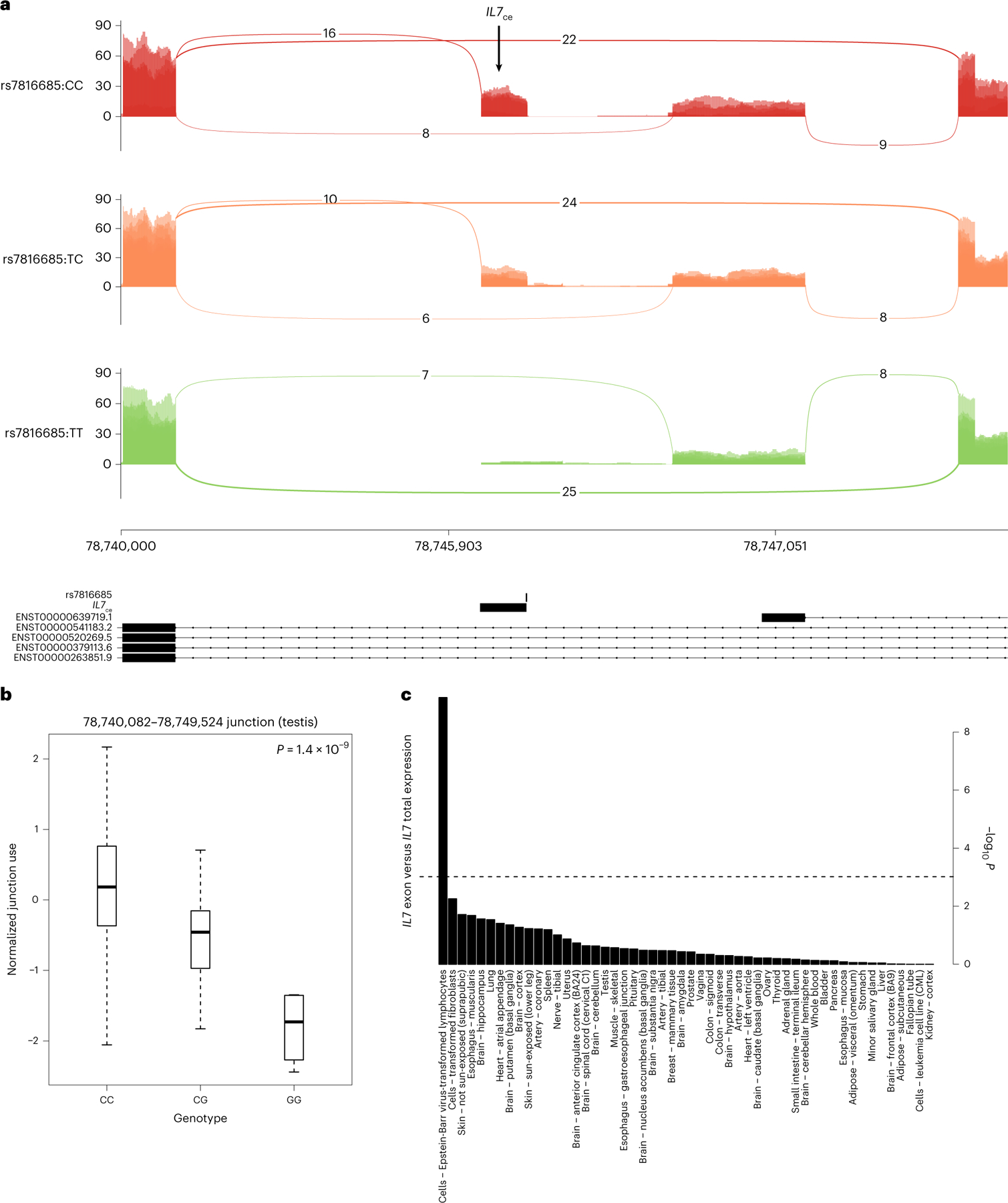 Fig. 3 |