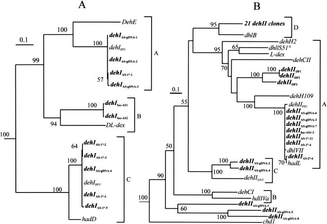 FIG. 1.