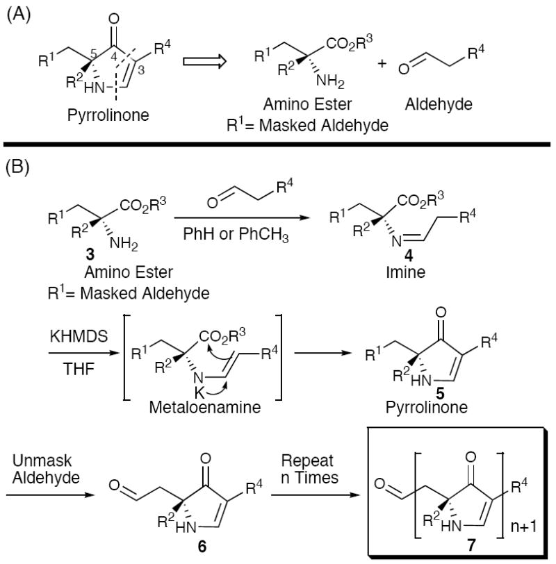 Scheme 1