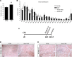 Figure 5—figure supplement 2.