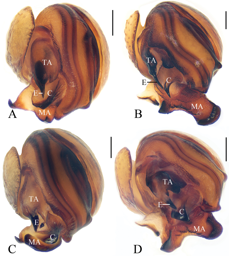 Figure 18.