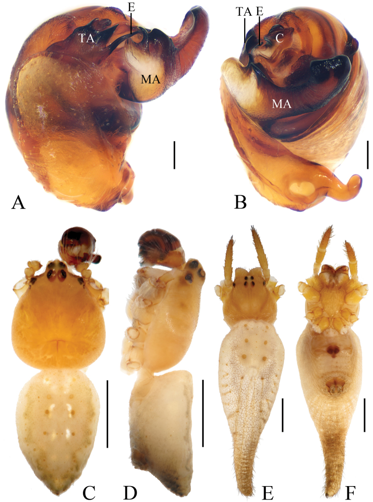 Figure 11.