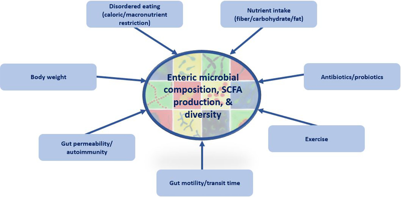 Figure 1: