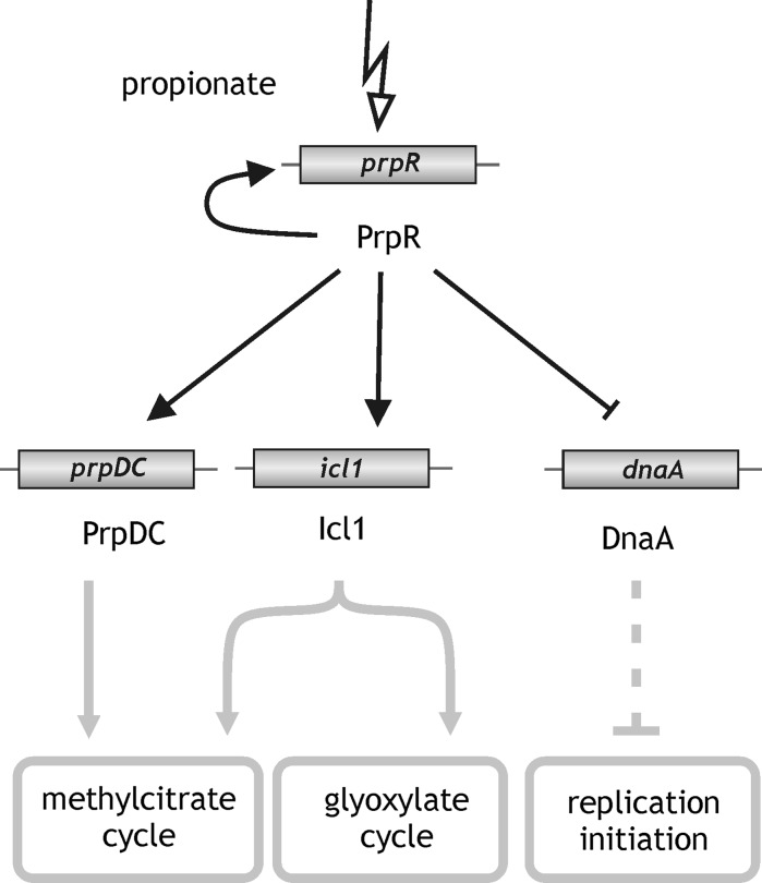 Fig. 4