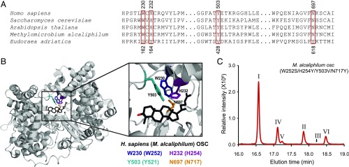 Fig. 4.