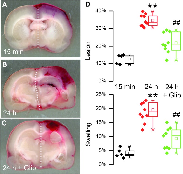 FIG. 10.