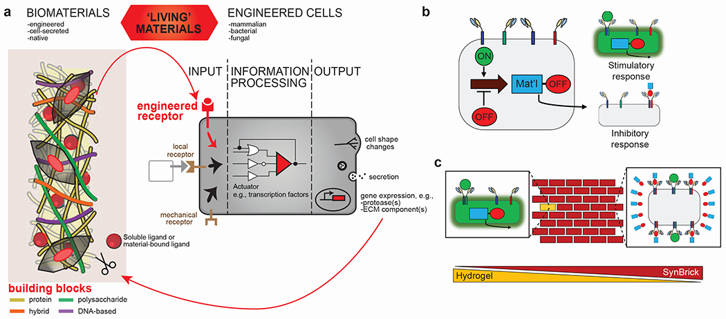 Figure 3|