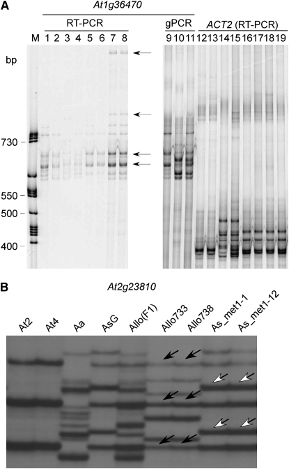 Figure 3.—