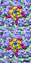 Fig 4
