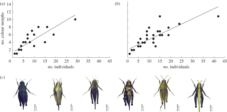 Figure 3.