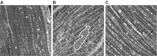 Fig. 10.