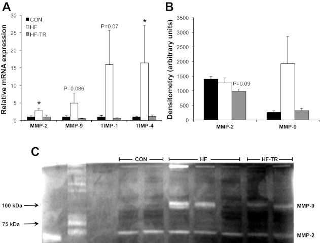 Fig. 8.