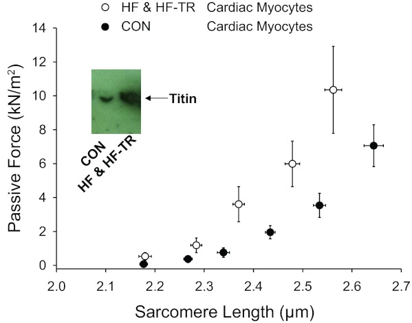 Fig. 11.