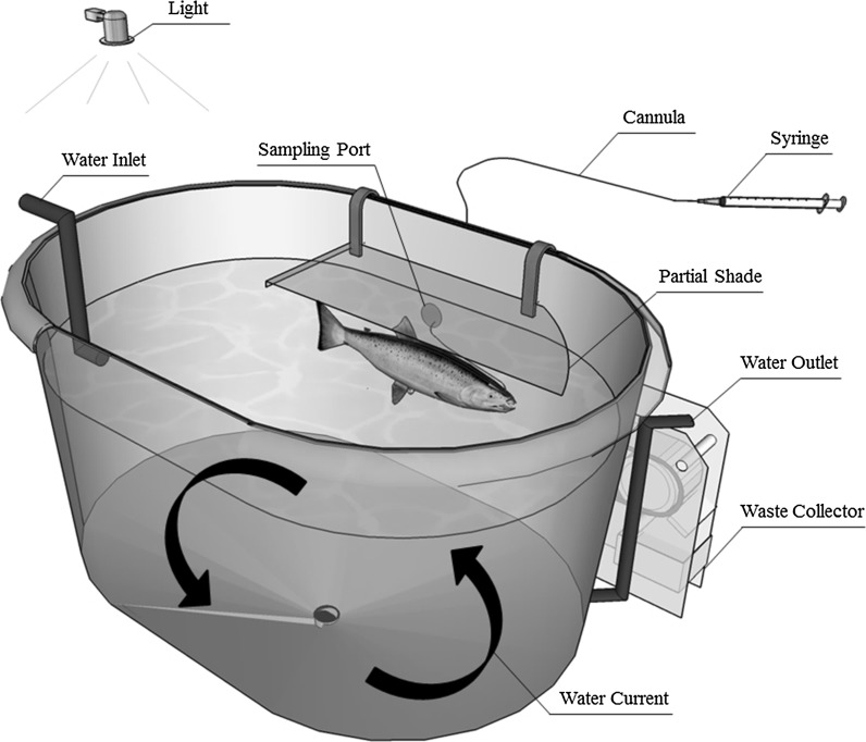 Fig. 1