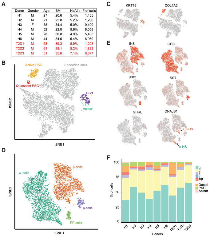 Single-Cell Heterogeneity Analysis and CRISPR Screen Identify Key β-Cell-Specific Disease Genes.