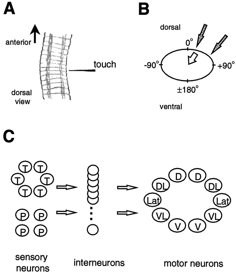 Fig. 1.